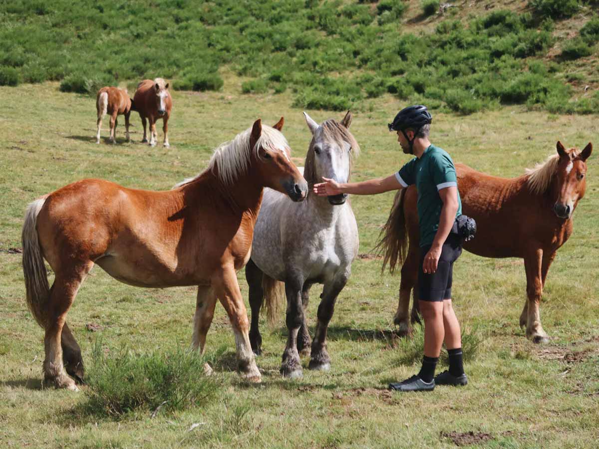 Recorrer los Picos de Europa con bicicleta