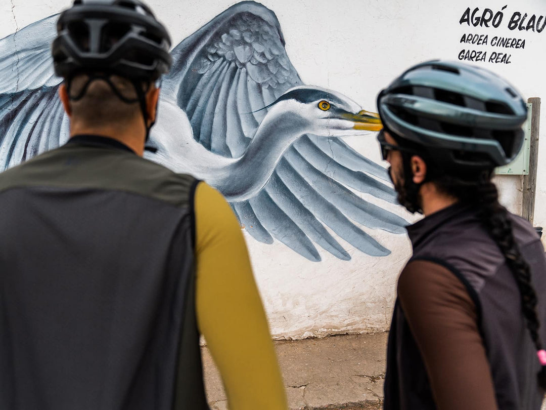 OCELLS DE L´ALBUFERA, UNA RUTA QUE UNE EL GRAVEL Y EL ARTE URBANO